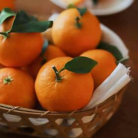 【包邮】象山红美人 入口即化爆汁无渣 娇嫩皮薄 香甜可口 现摘发货（售后联系VX：neigoupai004）