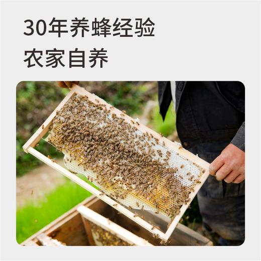 九制纯黑芝麻丸（蜂蜜版）丨 300g*2瓶 商品图5