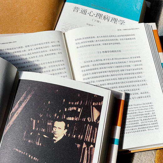 普通心理病理学 雅斯贝尔斯著作集 上中下3册精装 商品图11