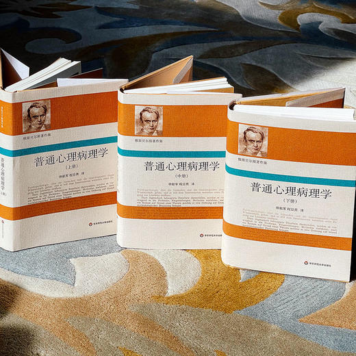 普通心理病理学 雅斯贝尔斯著作集 上中下3册精装 商品图4