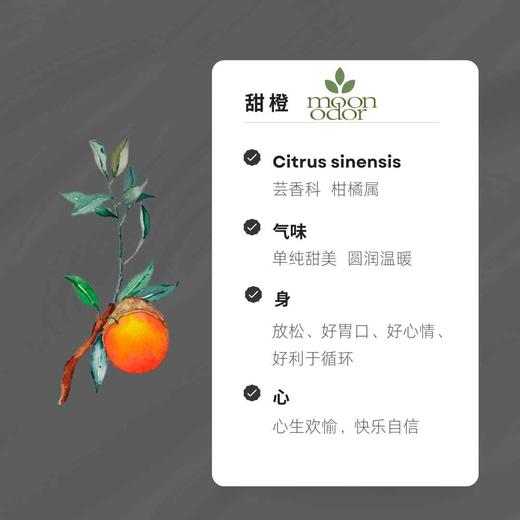 01  有机甜橙精油【香气001】 商品图0