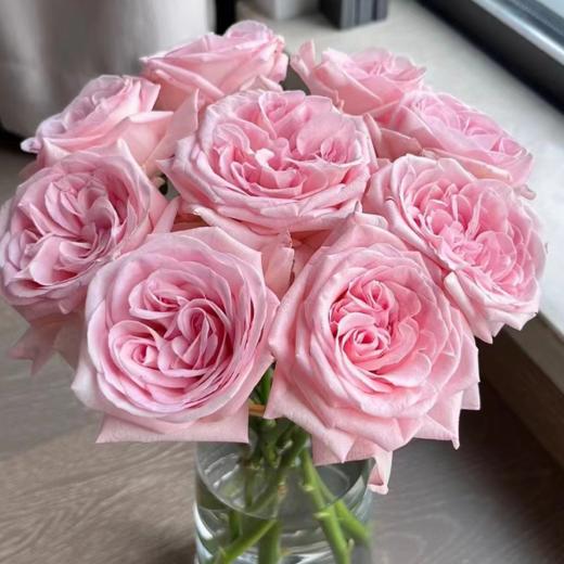 【拍市玫瑰】粉荔枝 20支/扎  粉色玫瑰  云南基地发货 （价格已包含包装费用） 运费以实际为准，多退少补。 商品图2