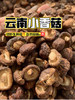 云南丽江玉龙雪山小香菇   11.07 商品缩略图0