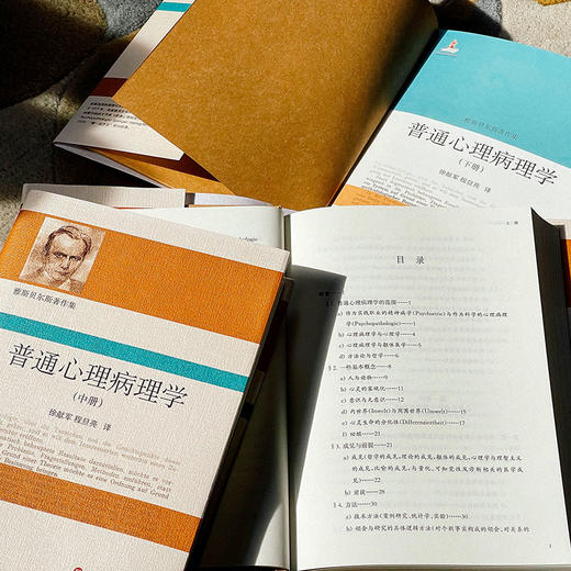 普通心理病理学 雅斯贝尔斯著作集 上中下3册精装 商品图8