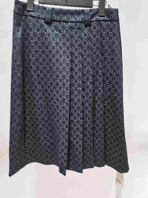 2F诗言志半裙23Q2808 商品图0