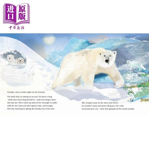 【中商原版】北极熊冰雪之旅 Martin Jenkins Ice Journey of the Polar Bear 英文原版 儿童科普绘本 动物百科知识 精装进口 商品图1