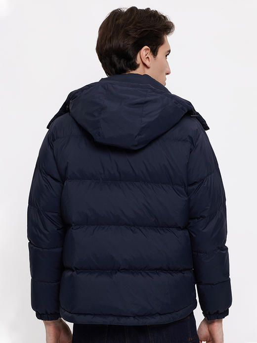 callisto藏青色鸭绒连帽立领羽绒服 FSFED016T 商品图2