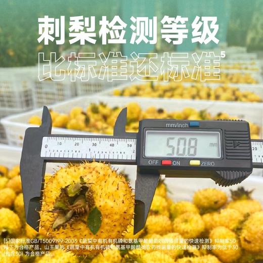 优选 | 山王果 有机C100刺梨原汁210mL 商品图3