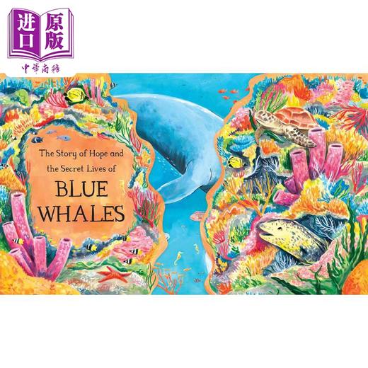 【中商原版】Laura Chamberlain Hope the Whale 蓝鲸霍普的海洋旅程 英文原版进口图书 儿童绘本 动物知识科普故事图画书 商品图3