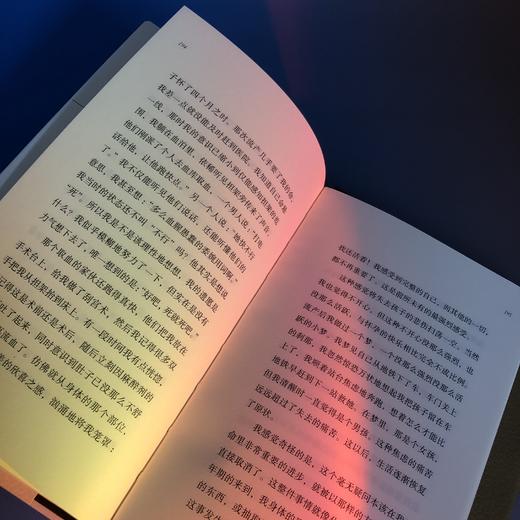 【2册套装】戴安娜·阿西尔作品系列：暮色将尽+未经删节，独身女性的坦率心声ⅹ老年生活的全新收获 商品图4