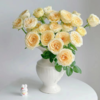 【拍市玫瑰】奶油杯 20支/扎 奶黄色玫瑰  云南基地发货 （价格已包含包装费用） 运费以实际为准，多退少补。 商品缩略图0