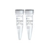 BioSmart U+ All-Powerful Multiple Probe qPCR PreMix (ONE TUBE) 商品缩略图0