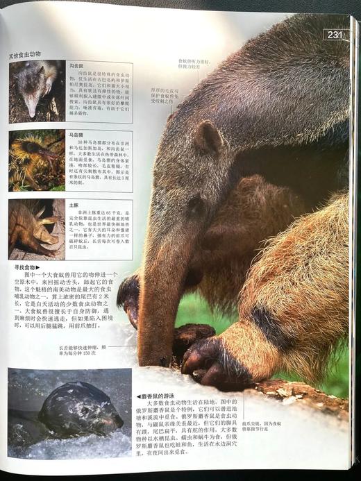 《DK探索百科：生命》精装(店铺活动单独赠文件夹分开发） 商品图2