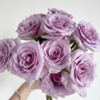 【拍市玫瑰】 海洋之歌  20支/扎  紫色玫瑰  云南基地发货 （价格已包含包装费用） 运费以实际为准，多退少补。 商品缩略图2