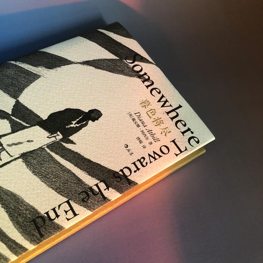 【2册套装】戴安娜·阿西尔作品系列：暮色将尽+未经删节，独身女性的坦率心声ⅹ老年生活的全新收获 商品图3