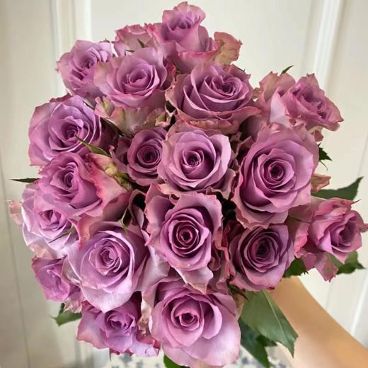【拍市玫瑰】紫霞仙子 20支/扎  紫色玫瑰  云南基地发货 （价格已包含包装费用） 运费以实际为准，多退少补。 商品图2