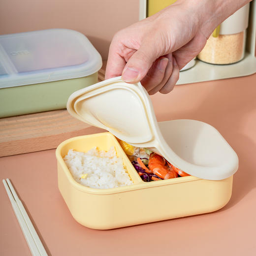 OTB铂金硅胶冰激凌分格饭盒 商品图0