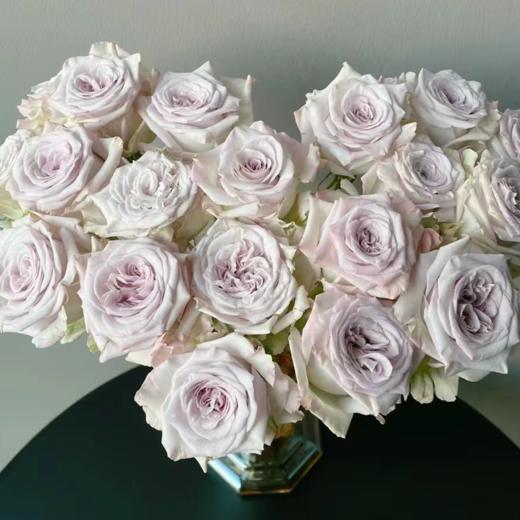 【拍市玫瑰】 海洋之心  20支/扎  紫色玫瑰  云南基地发货 （价格已包含包装费用） 运费以实际为准，多退少补。 商品图2