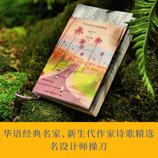 永远是夏天：华语经典名家诗歌选 商品图2