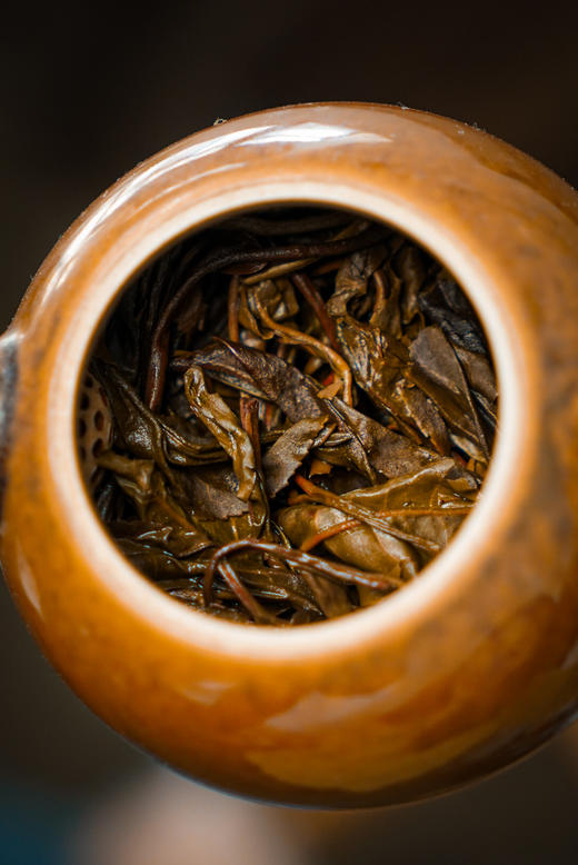 【2013百花潭】铜箐河深处，茶王树单株 商品图7