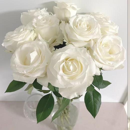 【拍市玫瑰】骄傲 20支/扎  白色玫瑰  云南基地发货 （价格已包含包装费用） 运费以实际为准，多退少补。 商品图1
