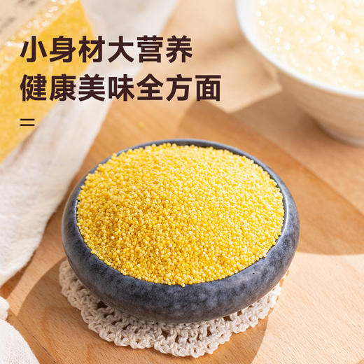拾爸家⠀2025 敖汉黄小米 | 甄选“黄金苗”，米油浓厚 商品图2