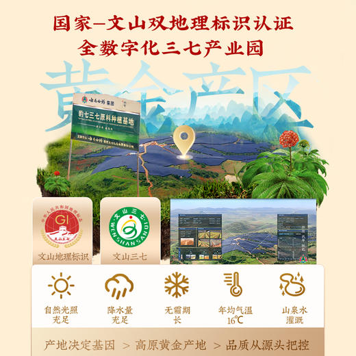 【白药精选】云南白药豹七冻干三七粉冻干120g高端礼盒云南产37粉田七头打粉冻干技术留存高皂苷 商品图3