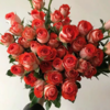 多头玫瑰 惊艳泡泡 10支/扎 云南基地发货 （价格已包含包装费用） 运费以实际为准，多退少补。 商品缩略图1
