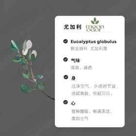 04  有机蓝胶尤加利精油【香气004】