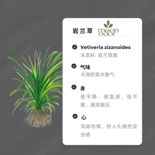 09  野生岩兰草精油【香气009】 商品图0