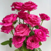 【拍市玫瑰】弗洛伊德 20支/扎  玫红色玫瑰  云南基地发货 （价格已包含包装费用） 运费以实际为准，多退少补。 商品缩略图0