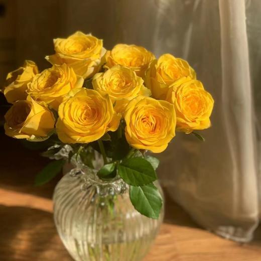 【拍市玫瑰】月光漫步 20支/扎  黄色玫瑰  云南基地发货 （价格已包含包装费用） 运费以实际为准，多退少补。 商品图1