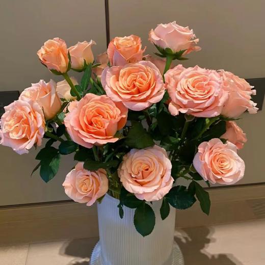 【拍市玫瑰】微光 20支/扎  粉色玫瑰  云南基地发货 （价格已包含包装费用） 运费以实际为准，多退少补。 商品图1