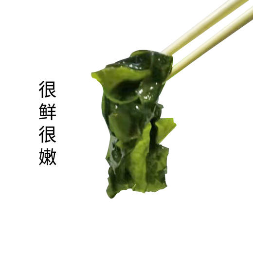 仙鱼湾裙带菜120g*2袋 商品图2