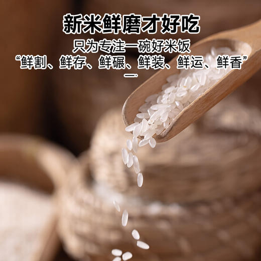 拾爸家⠀稻香米 | 甄选延寿稻花香2号大米，米香浓郁 商品图4