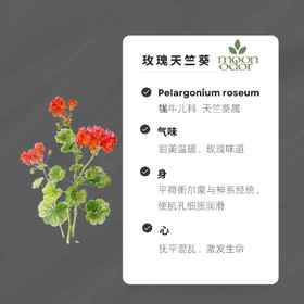 18  有机玫瑰天竺葵【香气018】