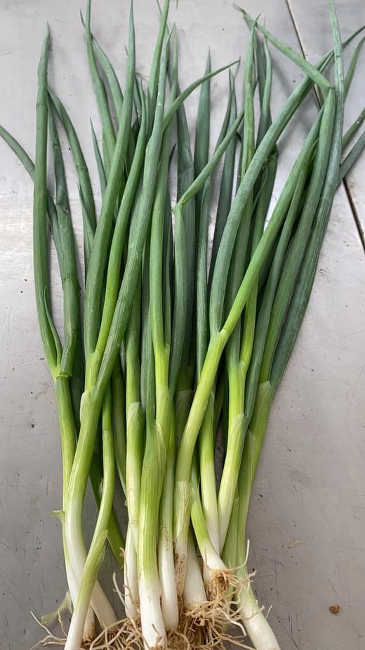 鸿翠园 有机小葱 商品图1