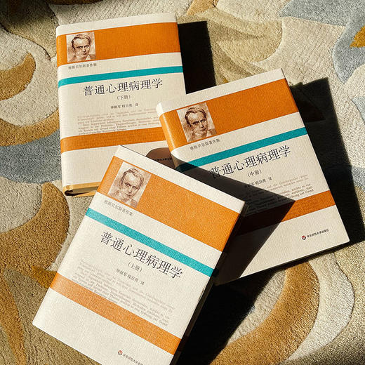 普通心理病理学 雅斯贝尔斯著作集 上中下3册精装 商品图3