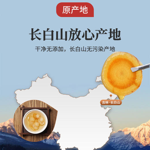 鲜参蜜片【长白山地理标识认证】精选长白山4-5年优质鲜参制作  东北黑锋椴树蜜古法酿制 商品图3