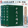 全2册 中药大辞典 上下册+ 附编 第二版 南京中医药大学 编著 药材名称注音大型综合词典中药学工具书籍 上海科学技术出版社 商品缩略图0