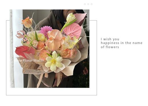 【琳琅】热卖款风绒系列 商品图1