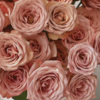 【拍市玫瑰】卡布奇诺 20支/扎  复古色玫瑰  云南基地发货 （价格已包含包装费用） 运费以实际为准，多退少补。 商品缩略图3