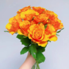 【拍市玫瑰】辉煌 20支/扎  橙色玫瑰  云南基地发货 （价格已包含包装费用） 运费以实际为准，多退少补。 商品缩略图3