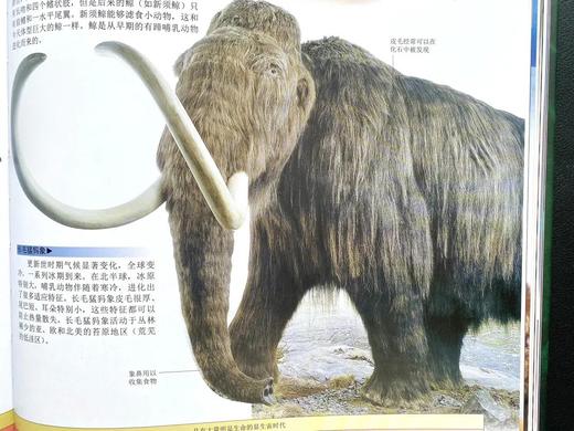 《DK探索百科：生命》精装(店铺活动单独赠文件夹分开发） 商品图5