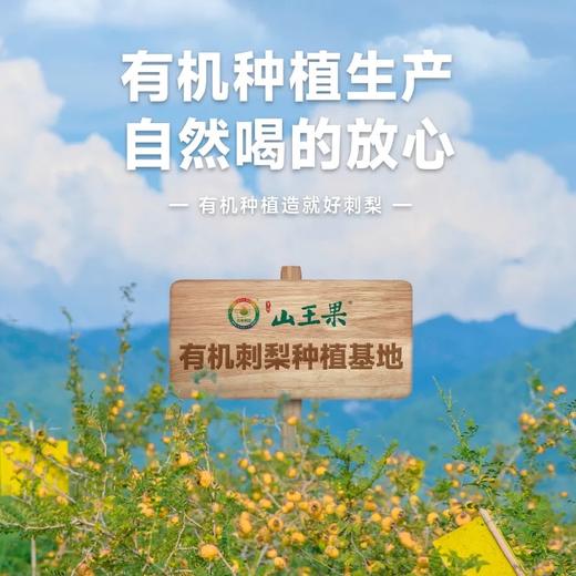 优选 | 山王果 有机C100刺梨原汁210mL 商品图2