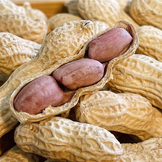 【坚果精选】龙岩紫衣湿烤花生 皮薄易剥 粒大肉满 香香脆脆越吃越上头 商品图0