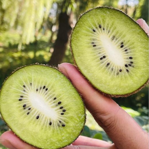 瑞玉猕猴桃|🌹匠心极瑞玉即食猕猴桃🥝 国产猕猴桃越做越好，软硬都好吃、美味不必等！精挑细选每一颗，个头超大、果肉细腻、汁水多，天然维C小绿蛋！给你满满活力～～ 商品图1