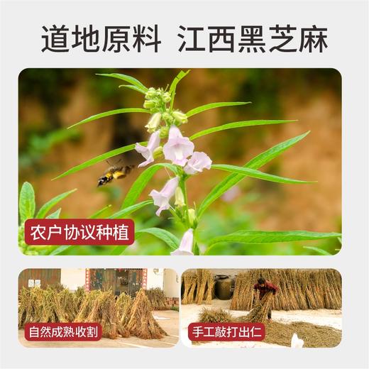 九制纯黑芝麻丸（蜂蜜版）丨 300g*2瓶 商品图3