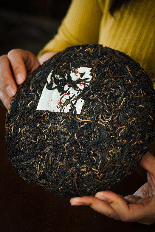 【2013百花潭】铜箐河深处，茶王树单株 商品图1