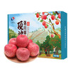 陕西顶端果业洛川红富士苹果礼盒15枚70mm 小果 水果礼盒 商品缩略图0